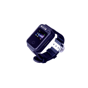 Z66L-LoRaWAN+BLE+GPS, Anti-Assemble Wristband
