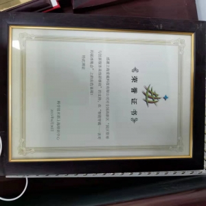 科技部上海培训中心荣誉证书