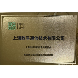 专精特新 企业证书
